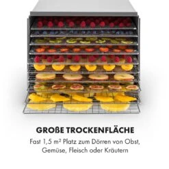 Fruit Jerky Steel 10 Dörrautomat 10 Etagen 1000 W Fläche: 1,5 M² Timer -Küche Zu Hause 10028437 de 0006 logo