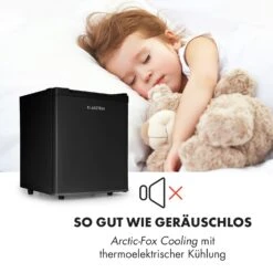 Silent Cool Kühlschrank 30l Arctic-Fox Cooling 23 DB(A) -Küche Zu Hause 10033055 de 0003 logo