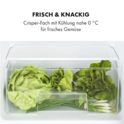 Big Daddy Cool Kühl-Gefrierkombination 61/25 Liter 2 Ebenen Edelstahl 16 Big Daddy Cool Kühl-Gefrierkombination 61/25 Liter 2 Ebenen Edelstahl -Küche Zu Hause 10034005 de 0005 logo
