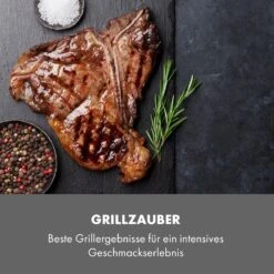 Steakreaktor Core Indoor Grillgerät Hochtemperaturgrill 2100W 800°C -Küche Zu Hause 10035085 de 0007 logo