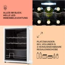 Coachella 60 Kühlschrank 60 Liter WiFi-Funktion Hintergrundbeleuchtung 10 Coachella 60 Kühlschrank 60 Liter WiFi-Funktion Hintergrundbeleuchtung -Küche Zu Hause 10045042 de 0004 usp